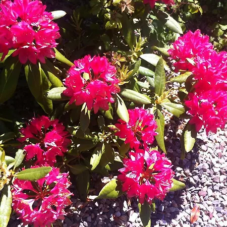 Panzió Lakeland House