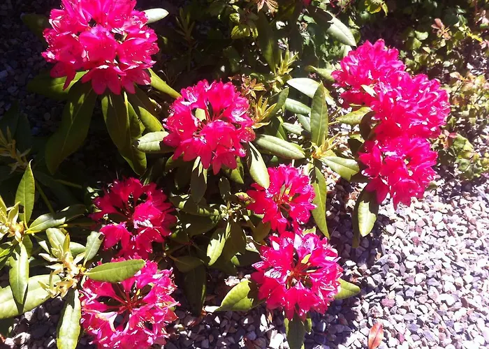 לינה וארוחת בוקר Lakeland House